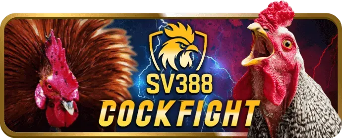 Đội ngũ hỗ trợ khách hàng chuyên nghiệp của 789p apk